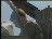 Thumbnail 23
