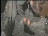 Thumbnail 34