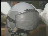 Thumbnail 35