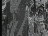Thumbnail 35