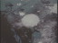 Thumbnail 26