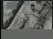 Thumbnail 40