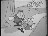 Thumbnail 21