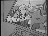 Thumbnail 29
