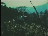 Thumbnail 26