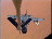 Thumbnail 27