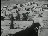 Thumbnail 28
