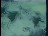 Thumbnail 23