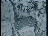 Thumbnail 45