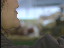 Thumbnail 18