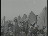 Thumbnail 21