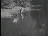 Thumbnail 23