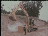 Thumbnail 22