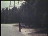 Thumbnail 29