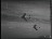 Thumbnail 21