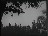 Thumbnail 20