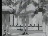 Thumbnail 22