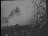 Thumbnail 16