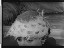 Thumbnail 22
