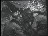 Thumbnail 23