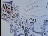 Thumbnail 22