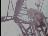 Thumbnail 18