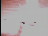 Thumbnail 21