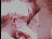 Thumbnail 22
