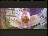 Thumbnail 32