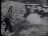 Thumbnail 22