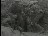 Thumbnail 24