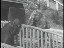 Thumbnail 19