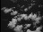 Thumbnail 23
