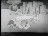 Thumbnail 25