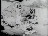 Thumbnail 30
