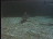 Thumbnail 28