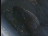 Thumbnail 35