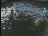 Thumbnail 40