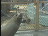 Thumbnail 29