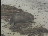 Thumbnail 45