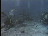 Thumbnail 21
