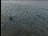 Thumbnail 24
