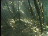 Thumbnail 26