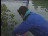 Thumbnail 29