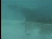 Thumbnail 43