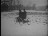 Thumbnail 28