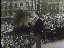 Thumbnail 27