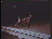 Thumbnail 22