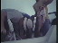 Thumbnail 16