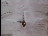Thumbnail 26
